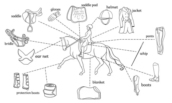 Ιππασίας του αθλητισμού infographics ιππασίας και αναβάτη εξοπλισμού στο κέντρο του αναβάτη σε ένα άλογο — Διανυσματικό Αρχείο