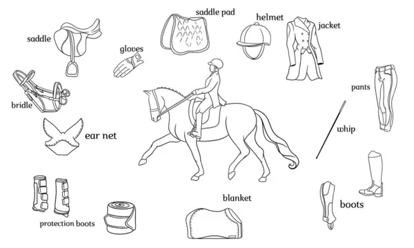 Esporte equestre infográficos chicote de cavalos e equipamento de cavaleiro no centro de um cavaleiro em um cavalo —  Vetores de Stock