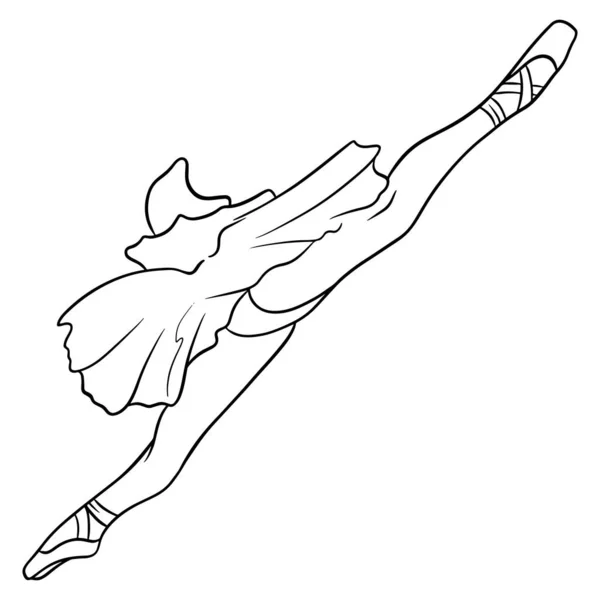 Ballet Jambes Ballerine Dans Tutu Pointe Art Linéaire Illustration Vectorielle — Image vectorielle