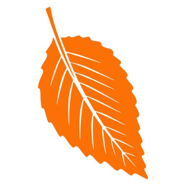 Sonbahar yaprakları oyulmuş. Doğanın parlak yaprakları. Soyutlama. Tasarım ve dekorasyon için vektör illüstrasyonu.