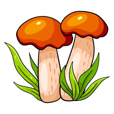 Yenilebilir mantarlar. Çimenlerde iki portakallı boletus. Çizgi film tarzı. Tasarım ve dekorasyon için vektör illüstrasyonu.