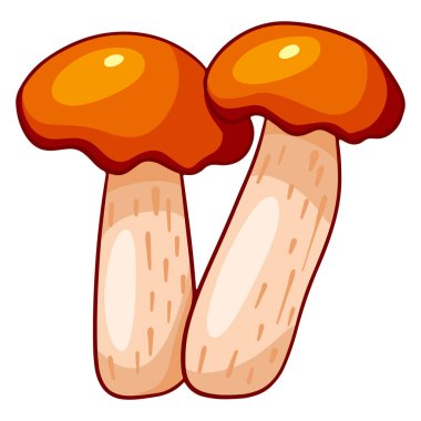 Yenilebilir mantarlar. Turuncu şapkalı iki boletus. Çizgi film tarzı. Tasarım ve dekorasyon için vektör illüstrasyonu.