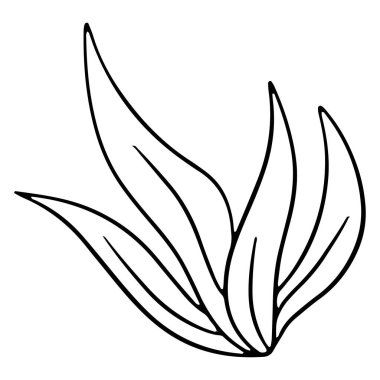 Bir demet yeşil taze çimen. Uzun çimen yaprakları. Çizgi tarzı. Tasarım ve dekorasyon için vektör illüstrasyonu.