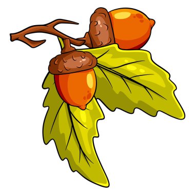 The fruit of the oak is edible. Two acorns on a branch with leaves. Cartoon style. Vector illustration for design and decoration. clipart