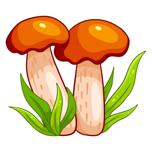 Setas Comestibles Dos Boletus Naranjas Hierba Estilo Dibujos Animados Ilustración — Vector de stock