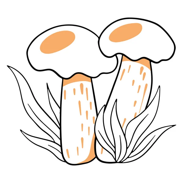 Champignons Comestibles Deux Bolets Dans Herbe Style Ligne Illustration Vectorielle — Image vectorielle