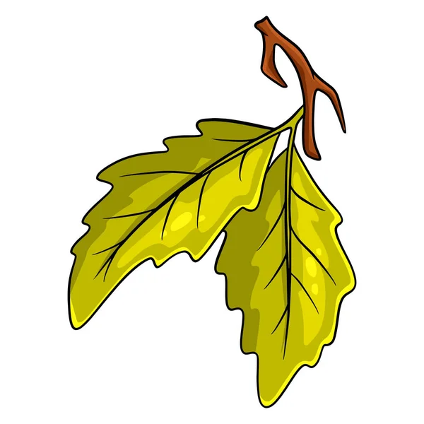 2つのオークの葉を持つ小さな小枝 漫画風 デザインと装飾のためのベクトルイラスト — ストックベクタ