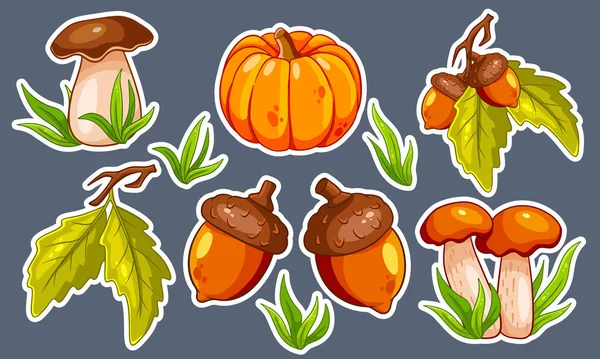 Der Herbst Geht Unter Sammlung Von Herbstartikeln Aufkleber Pilze Kürbis — Stockvektor