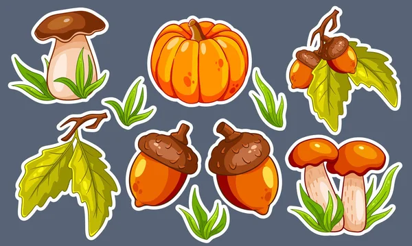 Set Otoño Colección Artículos Otoño Pegatinas Champiñones Calabaza Bellotas Hierba — Vector de stock