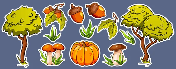 Set Otoño Colección Artículos Otoño Pegatinas Setas Calabaza Bellotas Hierba — Vector de stock