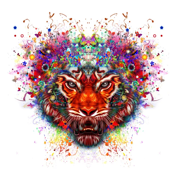 Цветная голова тигра — стоковое фото