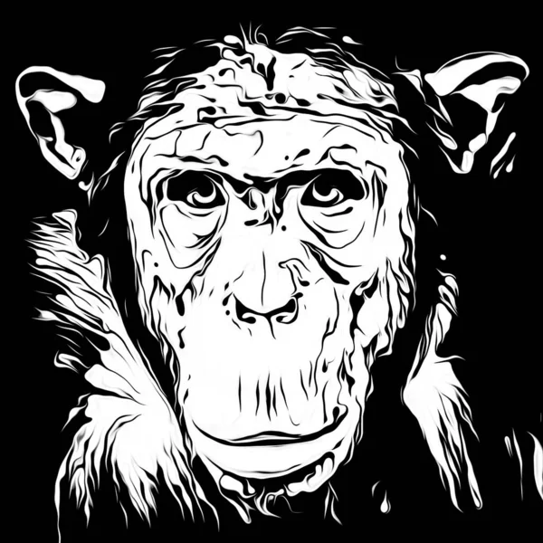 Schwarz Weißer Affenkopf Auf Schwarzem Hintergrund — Stockfoto