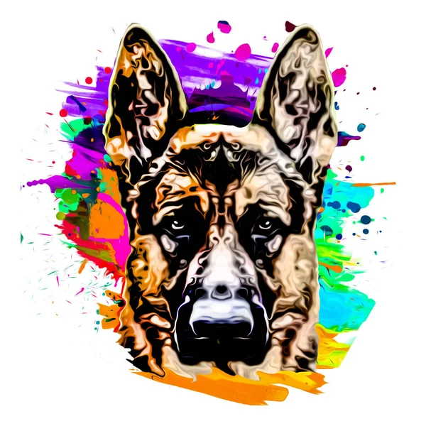 Beyaz Arka Planda Rengarenk Yaratıcı Unsurlarla Köpek Kafası Çizimi — Stok fotoğraf