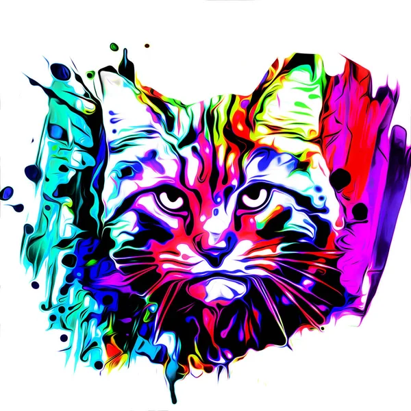 Gambar Moncong Kucing Berwarna Warni Abstrak Konsep Desain Grafis — Stok Foto