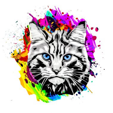 soyut renkli kedi ağızlık çizimi, grafik tasarım konsepti