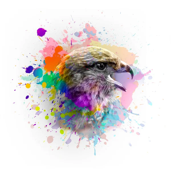 Vogelkop Met Creatieve Abstracte Elementen Witte Achtergrond — Stockfoto