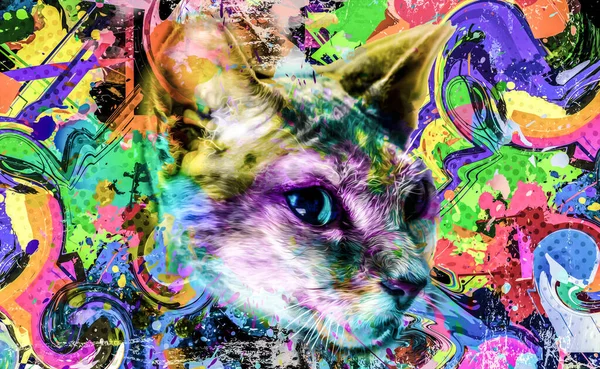 Cat Head Creative Abstract Elements Colorful Background — Stock Photo, Image