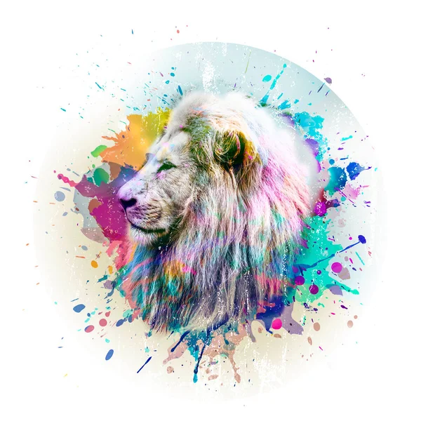 Lion Head Creative Abstract Elements White Background — Stock Photo, Image