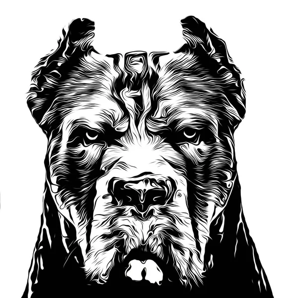 Sketch Dog Head White Background — Stock Photo, Image