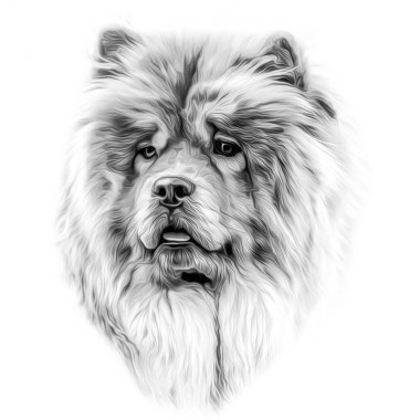 Beyaz arkaplanda köpek kafası çizimi