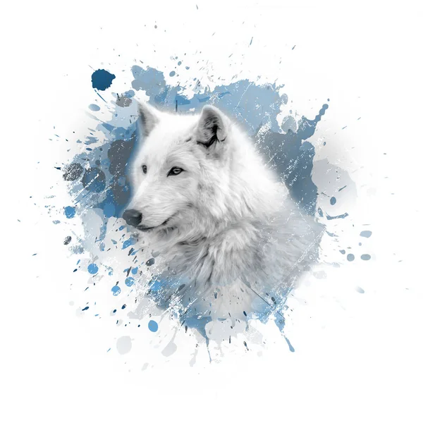 白い背景に創造的な抽象的な要素を持つオオカミの頭 — ストック写真