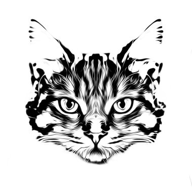 Kedi kafasının siyah beyaz çizimi, yakın görüş 