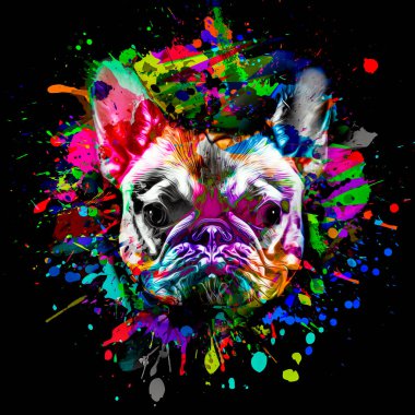 Gözlüklü köpek kafası ve koyu arkaplanda yaratıcı elementler.