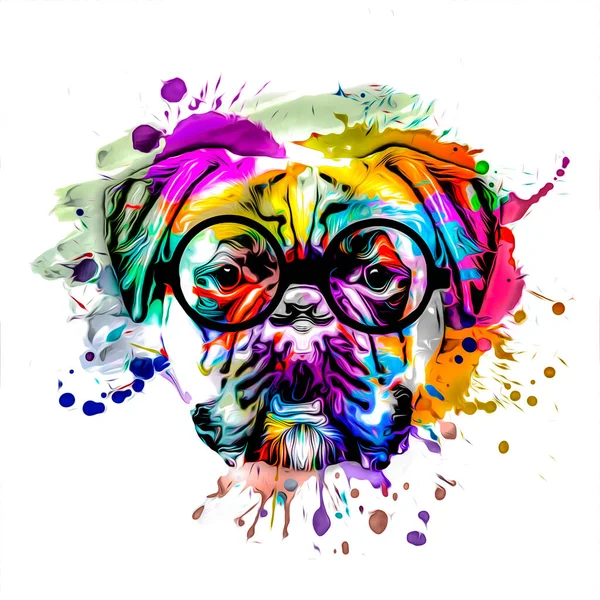 abstract colored dog muzzle in eyeglasses on white background