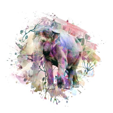  Beyaz arka planda yaratıcı renkli soyut elementlere sahip fil