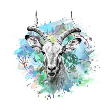 Beyaz arka planda yaratıcı renkli soyut elementlere sahip keçi kafası