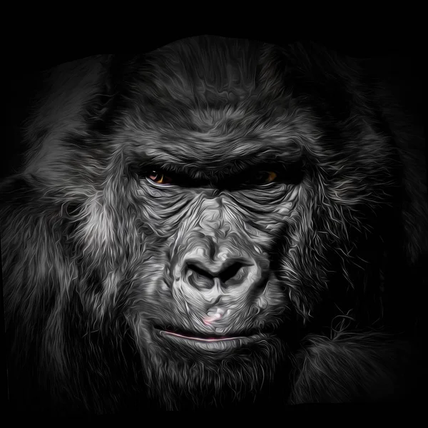 ゴリラ猿頭光の背景に創造的な抽象的な要素を持つ — ストック写真