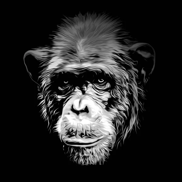 Голова Обезьяны Шимпанзе Творческим Абстрактным Элементом Светлом Фоне — стоковое фото