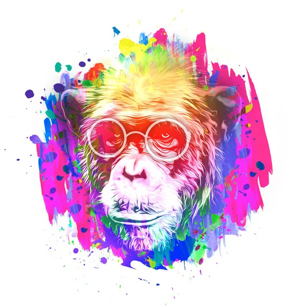 Cabeça Macaco Óculos Com Elementos Abstratos Coloridos Criativos Fundo Claro — Fotografia de Stock