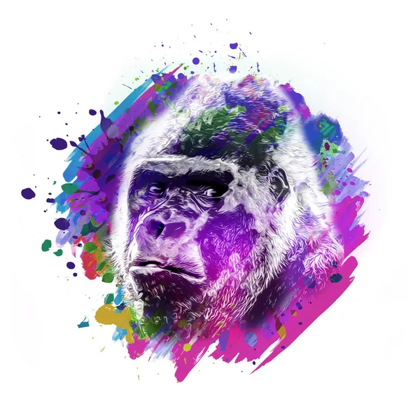 Gorilla Apenkop Met Creatieve Kleurrijke Abstracte Elementen Lichte Achtergrond — Stockfoto