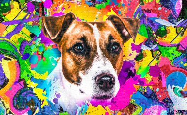 Koyu arkaplanda yaratıcı renkli soyut elementlere sahip köpek kafası