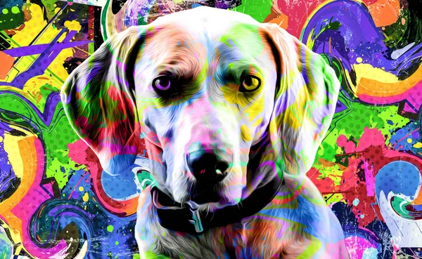 暗い背景に創造的なカラフルな抽象的な要素を持つ犬の頭 — ストック写真