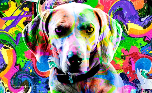 Koyu arkaplanda yaratıcı renkli soyut elementlere sahip köpek kafası