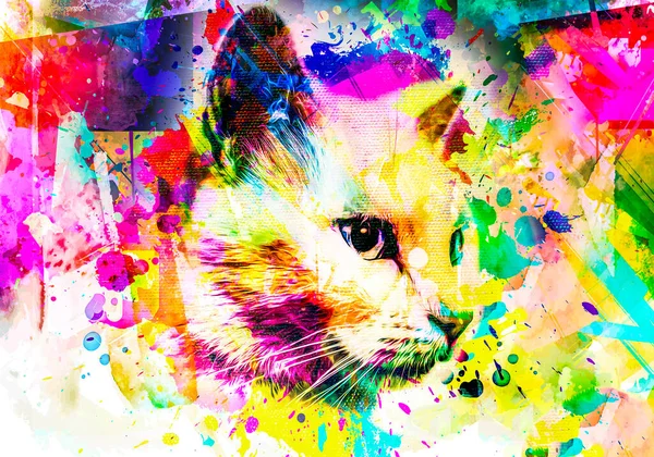 Kattenkop Met Creatieve Kleurrijke Abstracte Elementen Lichte Achtergrond — Stockfoto