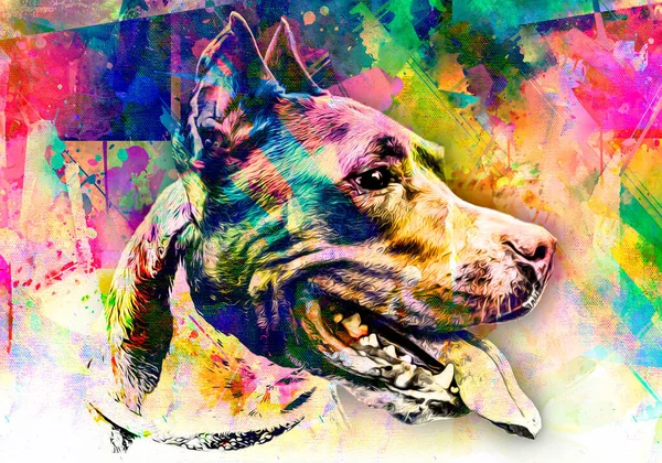 Pitbull Cane Testa Con Elementi Astratti Colorati Creativi Sfondo Scuro — Foto Stock