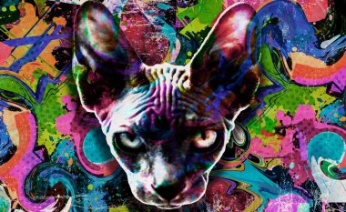 Koyu arkaplanda yaratıcı renkli soyut elementlere sahip sfenks kedi kafası