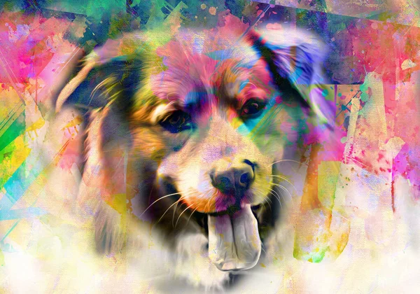 Hundekopf Mit Kreativen Bunten Abstrakten Elementen Auf Dunklem Hintergrund — Stockfoto