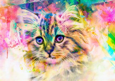 Açık arkaplanda yaratıcı renkli soyut elementlere sahip kedi kafası