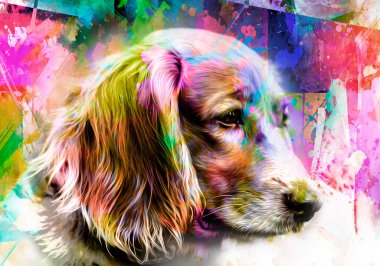 Cocker köpek kafası açık arkaplanda yaratıcı renkli soyut elementlere sahip