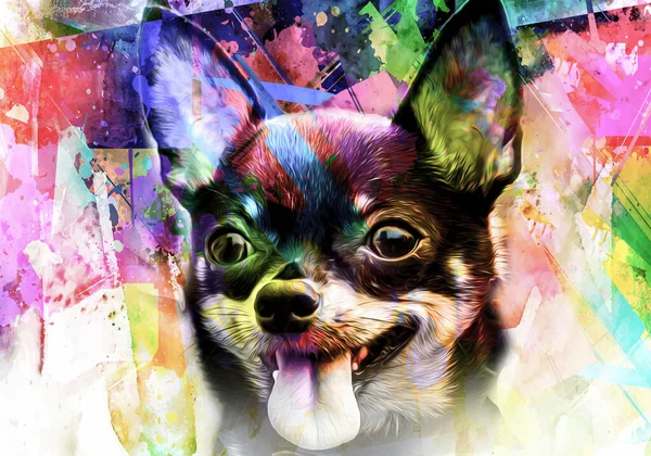光の背景に創造的なカラフルな抽象的な要素を持つChihuahua犬の頭 — ストック写真