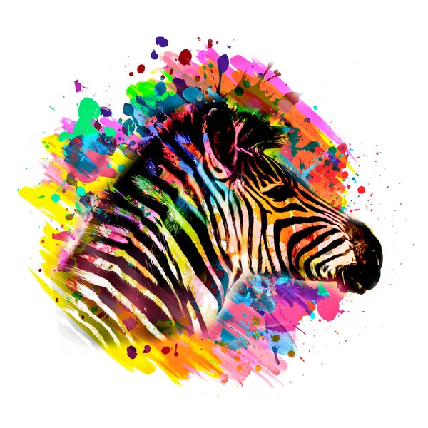 Bunte Künstlerische Zebraschnauze Mit Hellen Farbspritzern Auf Weißem Hintergrund — Stockfoto