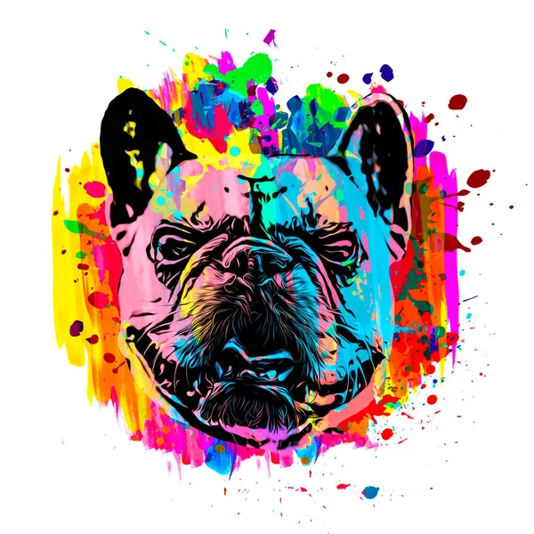 Bulldog Kop Met Creatieve Abstracte Elementen Witte Achtergrond — Stockfoto