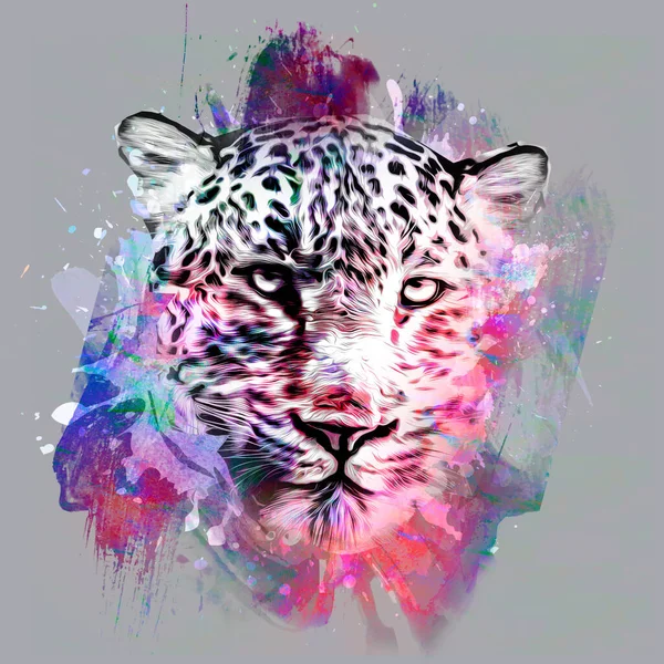 Красочная Артистическая Морда Леопарда Яркими Брызгами Краски Сером Фоне — стоковое фото