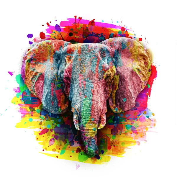 Colorido Elefante Artístico Focinho Com Respingos Tinta Brilhante Fundo Branco — Fotografia de Stock