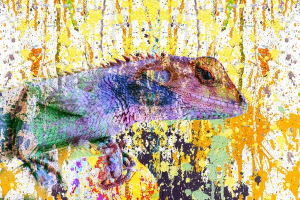 Lagarto Artístico Colorido Com Respingos Tinta Brilhante Fundo Branco — Fotografia de Stock