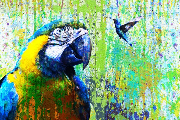 Arara Papagaio Artístico Colorido Beija Flor Com Respingos Tinta Brilhante — Fotografia de Stock